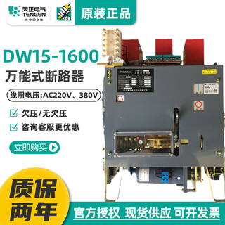 天正电气（TENGEN）天正DW15-1600框架式断路器800A1000A1250A160 DW15-1600800A AC2 DW15-1600800A AC220V无欠压