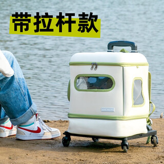 D-cat cat bag trolley case dog bag space capsule going out extra large cat bag going out with window large space cat bag 20jin jin is equal to 0.5kg fat cat worry-free camping style trolley cat bag