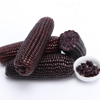 Orchard remit northeast black corn cobs, net weight, 10 sticks, vacuum packed, single stick 200g or more, fresh, sweet, soft and waxy black