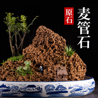 Shiguang xiaozhan boutique gold straw stone natural water-absorbing stone shangshui stone original rockery bonsai stone plant fossil small ornaments