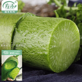 Shouhe radish seeds autumn sowing radish northern winter and spring fruit sowing vegetable seeds field planting seeds rapeseed weifeng feicuishawo radish seeds 20g