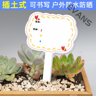 Xushansi kindergarten simulation pot brand gardening simulation flower pot simulation label signage succulent care brand diy handmade yhcd-24 10x16cm
