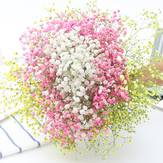 Aiman yunnan straight hair dried flower bouquet real flower home furnishing decoration small fresh living room office decoration air-dried bouquet light yellow + pink + white gypsophila without vase