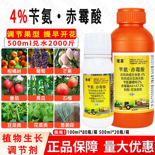 Bisell 4% benzyl gibberellic acid cytokinin benzylaminopurine gibberellic acid plant growth regulator 500ml*1 bottle
