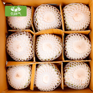 Fresh, selected large fruits, hainan green coconut, fresh coconuts are picked and shipped to pregnant women to replenish amniotic fluid, healthy fresh coconut water, selected 9 packs (with tools)