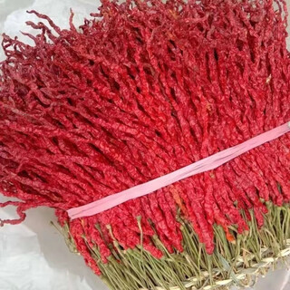 Valerui guizhou slightly spicy and generous wrinkled skin pepper specialty pepper dried pepper special fragrant wrinkled skin wholesale new arrivals this year 2024 5jin jin equals 0.5kg pack more discount