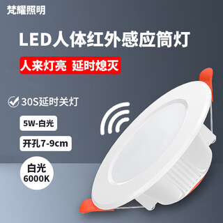 Fanyao embedded led induction downlight led smart corridor ceiling light
