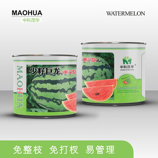 Zhongke maohua mountain stone melon watermelon seed jincheng no. 5 lazy man giant dragon large fruit type ningxia double red flesh selenium sand melon free of whole seed giant dragon 100g/bag refreshing type