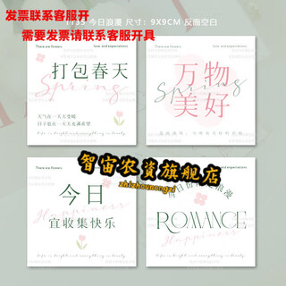 Tarjeta para el cuidado de las plantas de zhizhou, etiqueta colgante de pino verde, tarjeta de relajación, etiqueta colgante pequeña en maceta de plantas verdes debajo del árbol 1, 20 tarjetas de felicitación románticas