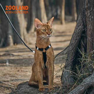 Zooland cat traction rope to prevent break-away, walk large and small kittens, high appearance, lengthened adjustable i-shaped chest and back, pure black l-recommended 5-16 jin jin equals 0.5 kg