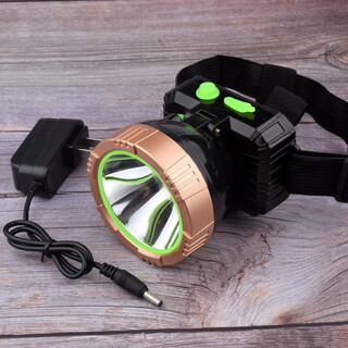 切叶蚁头灯led强光远射锂电池可充电 户外夜骑钓鱼头戴式 锂电池+两档调光充电10000k