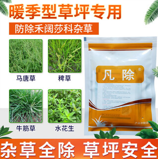 Fanzhufan herbicida especial para césped zoysia taiwán hierba bermuda raíz bermuda agua maní pesticida herbicida 58,5 g/set