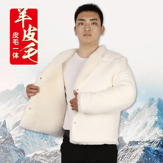 Xinuan northeast old sheepskin jacket men's genuine leather jacket fur-in-one sheep-shear thick autumn and winter women's genuine sheepskin cotton-padded jacket white fur-in-one sheepskin jacket xl suitable for 110-125 jin jin equals 0.5 kg
