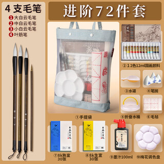 Surada chinese painting pigments chinese painting pigments chinese painting pigment set beginner students children's ink painting landscape painting 12 colors 12ml handbag set sd150