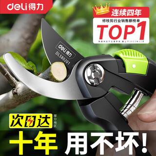 Deli special scissors for cutting branches, fruit tree gardening pruning scissors, flower pruning scissors, floral branch pruning, garden thick branch scissors, 8-inch anti-pinch, labor-saving pruning shears