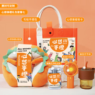 Fuouli souvenir gift box team building gift employee practical summer cool business company event entry gift prize [Xinxiang persimmon] package thirteen 350ml
