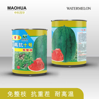 Zhongke maohua sweet and sweet tornado watermelon seed resistant to repeated cropping red tianlong dilong ruyi melon king chinese honey treasure lazy man melon high resistance no. 10 100g/box high temperature resistant about 900 capsules