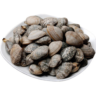 Fresh clams 350g (about 33-42 pieces)