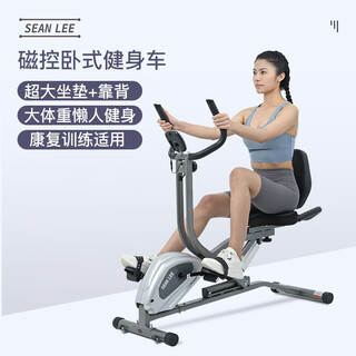 Sean lee horizontal magnetic control exercise bike home rehabilitation training fitness equipment for middle-aged and elderly people aerobic training spinning bike silver suitable for old and young + rehabilitation training