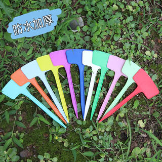 西普顿扇面插地牌园艺花卉加大牌面塑料标示牌可书写指示牌植物标签 多色[高20cm]10支