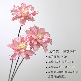 Aesthetic hacker mini daisy indoor small dried flowers real flower dried flower bouquet decoration living room dining table bedroom natural mix and match combination 3 cloud tea flowers pink
