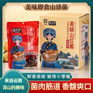 云南特产菌子花肆纪香乐多鸡枞菌油炸菌麻辣菌美味山珍菌小零食 1箱 632g