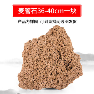 The best gold straw stone raw stone, natural water-absorbing stone, rockery bonsai ornaments, green plants, straw stone 36-40cm piece