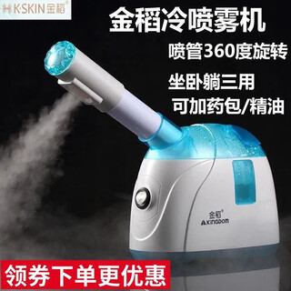 Instrument de cuisson à la vapeur pour le visage à pulvérisation froide de riz doré, instrument hydratant pour le visage, nano pulvérisateur, instrument de beauté, artefact hydratant, humidificateur facial domestique, petite machine à pulvérisation froide, grande pulvérisation à froid