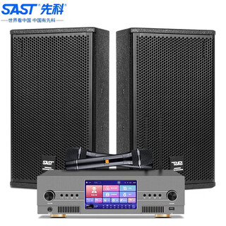 先科（SAST）MV-900A+KP10V专业家庭KTV音响套装卡拉OK点歌机一体 10吋专业箱KP10V+四合一功放MV-9