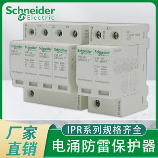 施耐德电气浪涌保护器IPR4P 40KA 65KA  IPR2P防雷器 避雷器电涌 20KA 2P