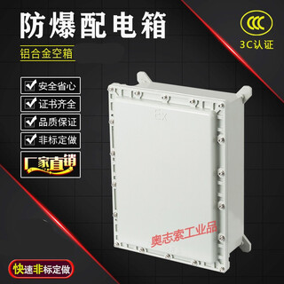Stainless steel explosion-proof distribution box instrument box control box lighting power box button box explosion-proof distribution cabinet wiring ling 400*500*200mm