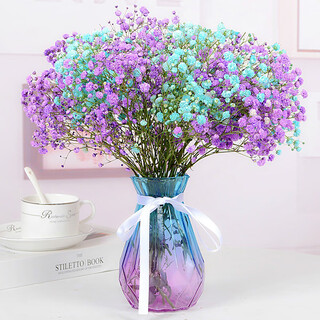 Aiman gypsophila natural dried flower bouquet ins internet celebrity birthday new house decorative ornaments air-dried real flower arrangements home furnishings purple + blue gypsophila with m vase