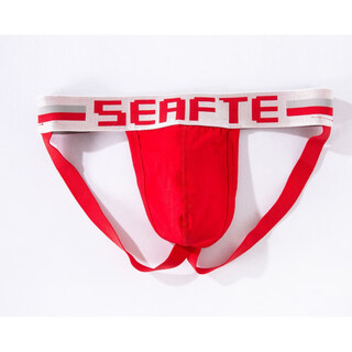 Roselex confidential delivery men's sexy underwear sexy low-waist cotton comfortable double thong sexy underwear l t1