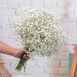 Aiman yunnan natural gypsophila dried bouquet home decoration living room table flower arrangement small fresh real flower ornaments white gypsophila including newspaper + ribbon dried flower package