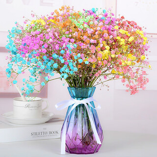 Aiman gypsophila natural dried flower bouquet ins internet celebrity birthday new house decoration ornaments air-dried real flower arrangement home furnishings colorful gypsophila with m vase