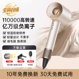 Syouran hair dryer home quiet enjoyment bass negative ion high power non-damaging hair dryer hair dryer high-speed leafless hair dryer huaqiangbei 520 valentine's day gift for girlfriend ceramic white comes with stand + air nozzle billion-level negative ion/constant temperature hair care
