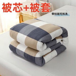 Porphyry dormitory quilt core plus quilt cover removable and washable student dormitory single spring and autumn quilt air-conditioned quilt double plus 5 jin jin equals 0.5 kg + quilt cover grid bed 1 meter wide mat/100*200cm
