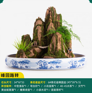 Smvp boutique indoor natural water-absorbing stone landscaping water stone ornaments landscape bonsai flowing water rockery micro landscape peaks and turns (complete set)