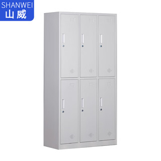 Shanwei locker staff dormitory iron wardrobe shoe cabinet gym office locker pure white 6 doors - customized