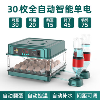 Egg incubator rutin chicken chick incubator small household intelligent incubator water bed parrot fully automatic incubator 24 pieces fully automatic single battery (automatic water supply)