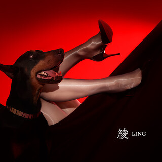 Aya born silky silk lingerie 8d shiny sexy oily traceless high elastic close-fitting wide crotch ultra-thin black stockings for women black black 1 pair l - lace waist wide crotch (peach hip style)