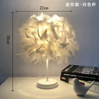 曜添创意简约欧式羽毛台灯卧室床头公主婚房温馨LED生日礼物玫瑰台灯 迷你款白杆白色羽毛 按钮开关