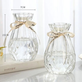 Simple and creative transparent large glass vase desktop water rose bottle nordic ins style living room flower arrangement ornaments 15 diamonds small size