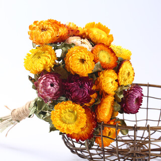Aiman dried flowers, real flowers, yunnan straw chrysanthemums, small daisies, natural air-dried bouquets, flower arrangements, internet celebrity decorative ornaments, wheat straw chrysanthemums, colorful bouquet (20 flowers), dry branches