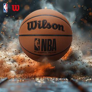 Wilson威尔胜NBA绝尘系列ENCORE PLUS防尘皮革室外神器成人比赛7号篮球