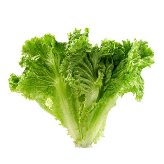 About 400g loose leaf lettuce