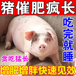 Veterinary fattening additives to promote fattening and weight gain, growth-promoting pig fattening additives premix, veterinary fattening feed 5 packs, buy 3 get 2 free, gluttony, sleepiness and growth
