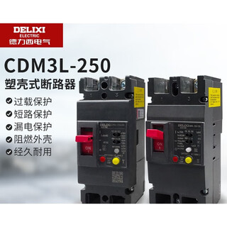 德力西电气（DELIXI ELECTRIC）DELIXI ELECTRICCDM3L-250家用漏 100A 2P