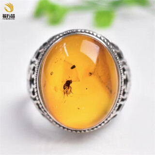 Fuwanzhe insect amber ring natural insect amber beeswax ring men's insect ring fly small circle mouth