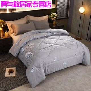 Modu winter quilt thickened and warm winter double quilt spring and autumn quilt single dormitory quilt chinese style - gray 200*230cm 4jin jin equals 0.5 kg spring and autumn quilt